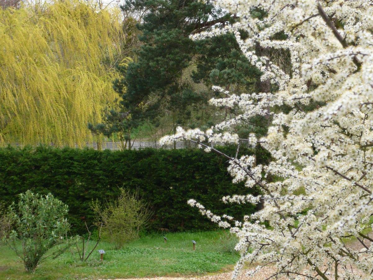 Gite Les Jardins De Terrefort Saumur Exteriör bild