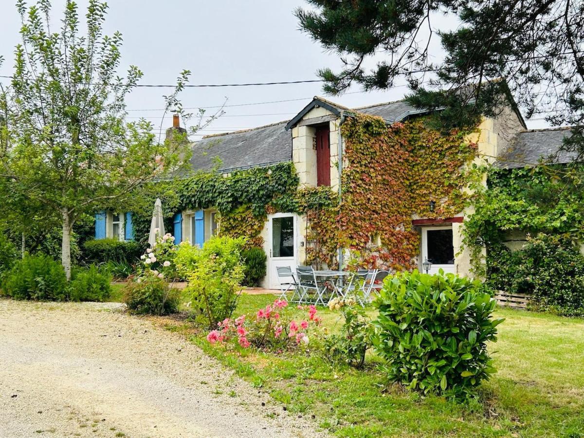 Gite Les Jardins De Terrefort Saumur Exteriör bild